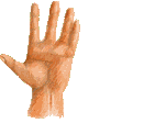 Почему двигается палец. Палец анимация. Анимация руки на прозрачном фоне. Ладонь анимация. Руки для анимации.