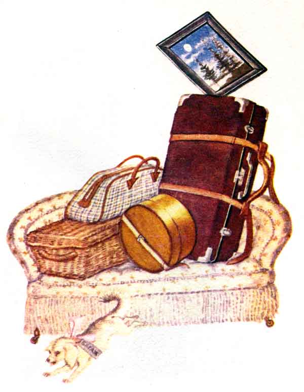 Диван чемодан картина корзина картонка и маленькая собачонка